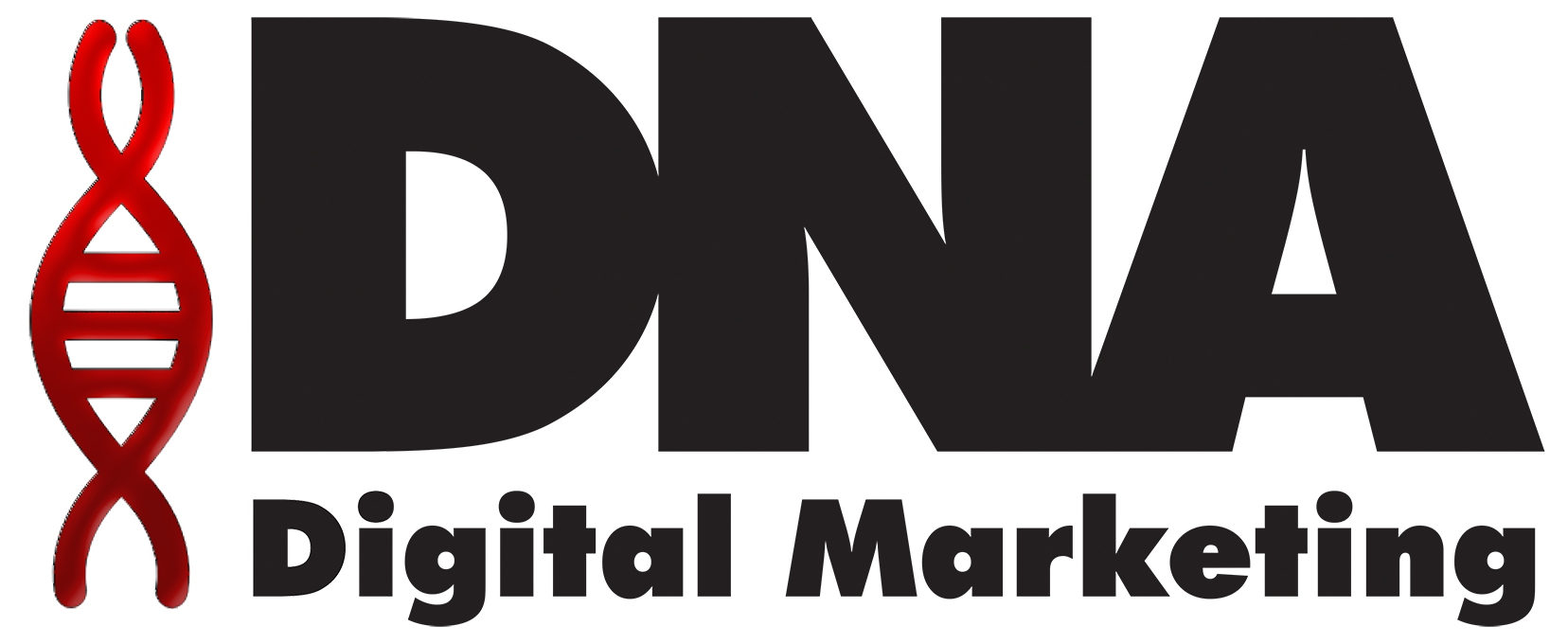 DNA Digital Marketing